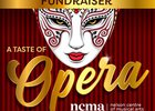 A Taste of Opera - Fundraiser